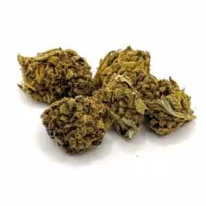 pink alien cannabis strain