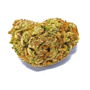 Souche shishkaberry