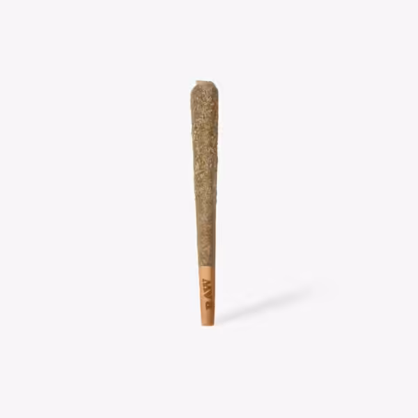 drizzle factory moon rocket