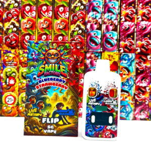 Stylo à vape double de marque Smile Factory aux saveurs de bleuet et de fraise